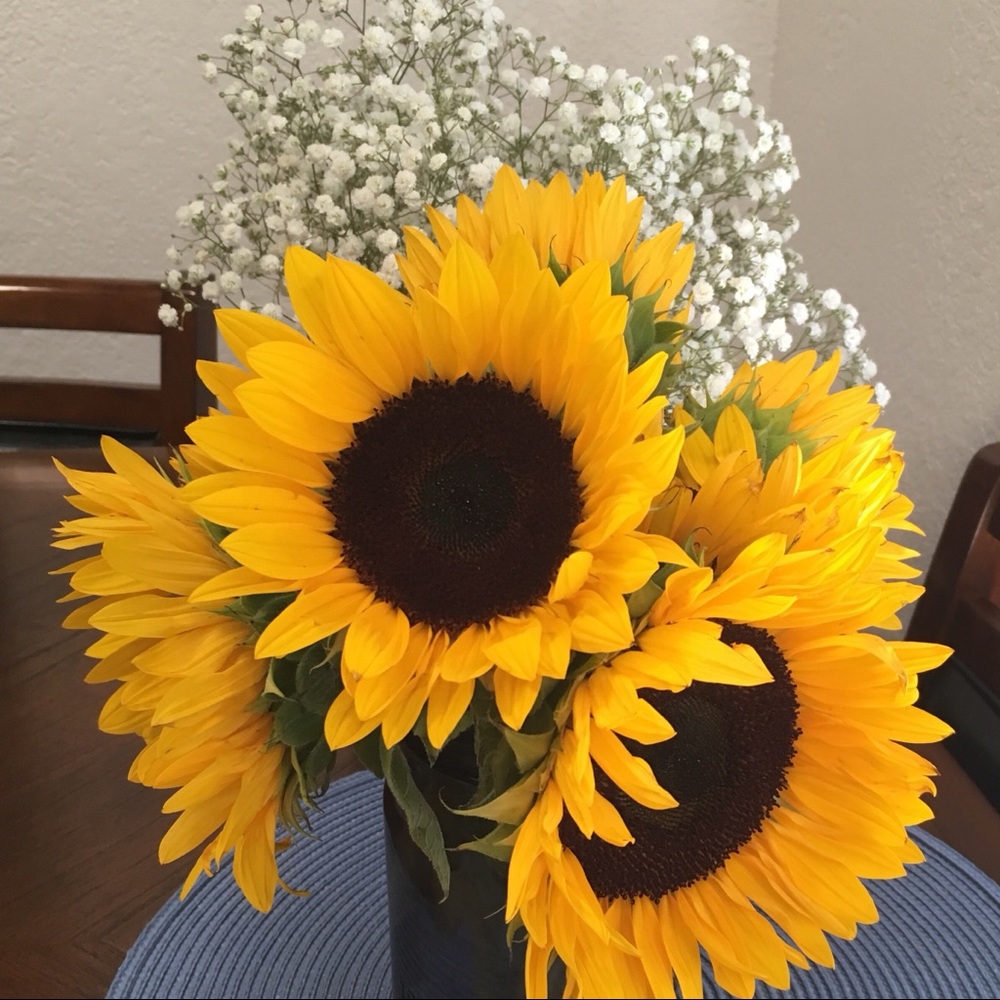 Meet your Posher, Yarey